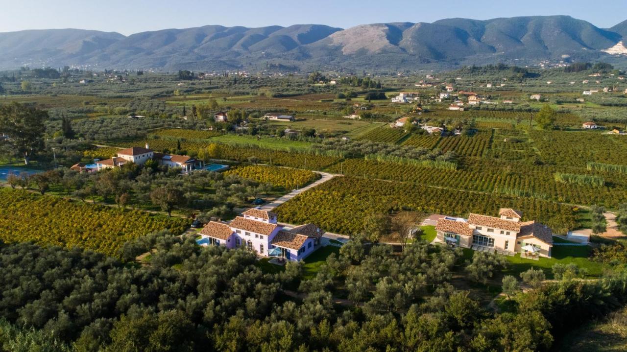 Aneli Luxury Villas - Villa Semeli Áyios Kírikos Exterior foto