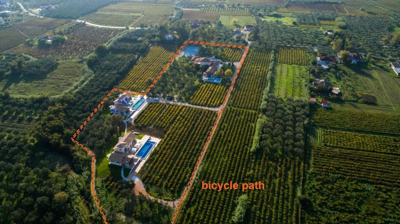 Aneli Luxury Villas - Villa Semeli Áyios Kírikos Exterior foto